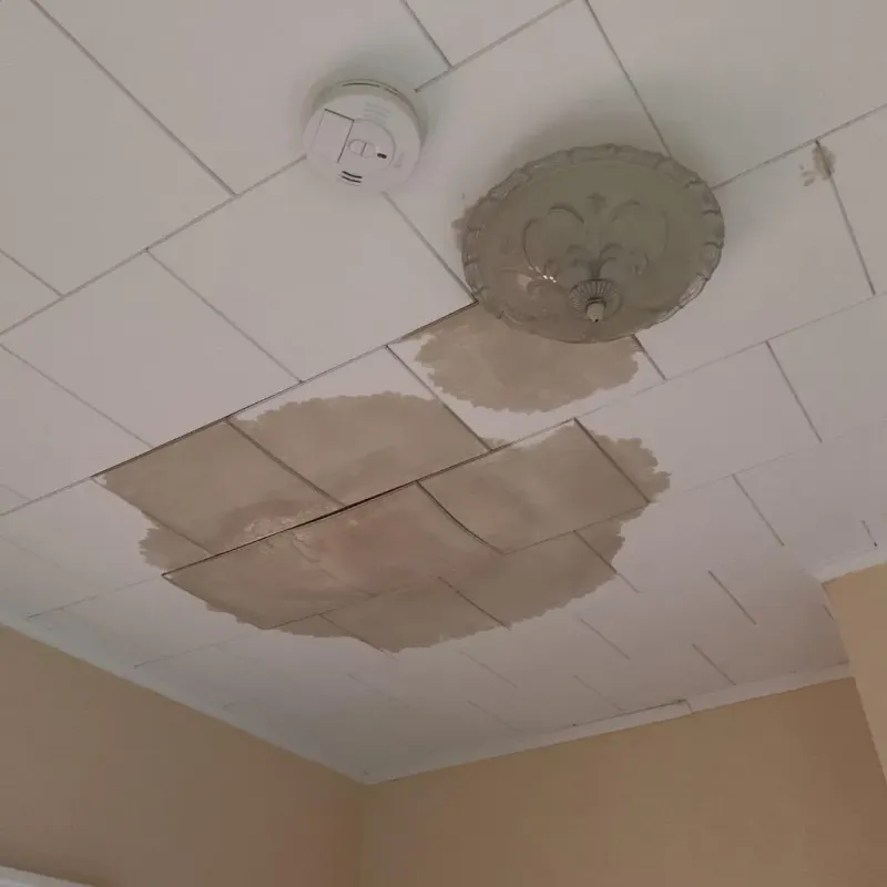 Ceiling Water Damage Repair in Windsor, VT
