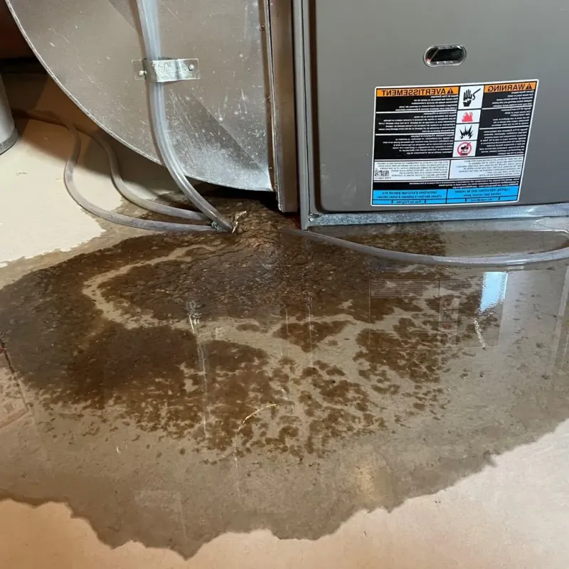 Pipe Burst and Leak Restoration in Windsor, VT